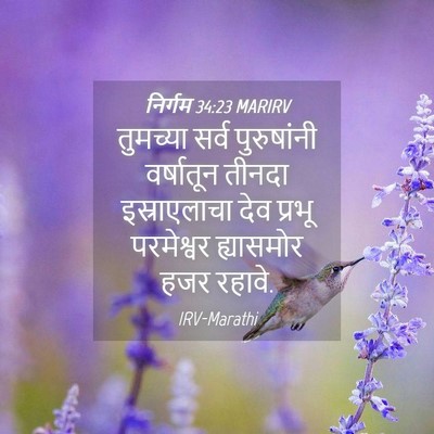 Picture 04 - निर्गम 34:23 MARIRV - तुमच्या सर्व - Bible Verse Picture