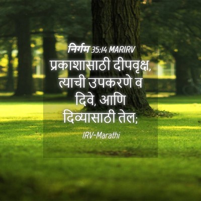 Picture 04 - निर्गम 35:14 MARIRV - प्रकाशासाठी - Bible Verse Picture