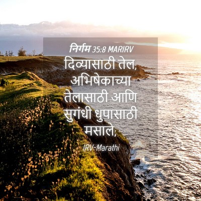 Picture 04 - निर्गम 35:8 MARIRV - दिव्यासाठी तेल, - Bible Verse Picture