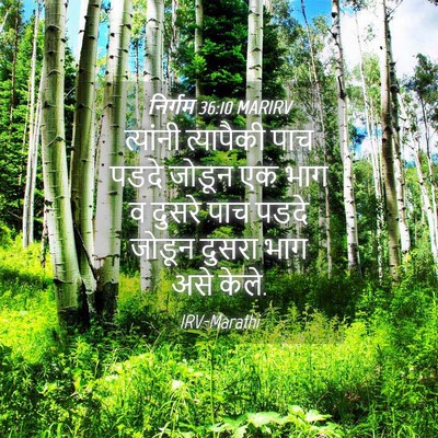Picture 04 - निर्गम 36:10 MARIRV - त्यांनी त्यापैकी - Bible Verse Picture