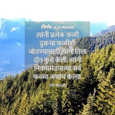 Picture 04 - निर्गम 36:22 MARIRV - त्यांनी प्रत्येक - Bible Verse Picture