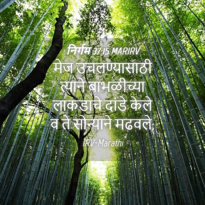Picture 04 - निर्गम 37:15 MARIRV - मेज उचलण्यासाठी - Bible Verse Picture