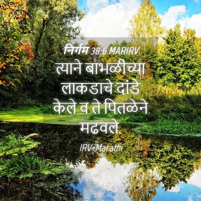 Picture 04 - निर्गम 38:6 MARIRV - त्याने बाभळीच्या - Bible Verse Picture