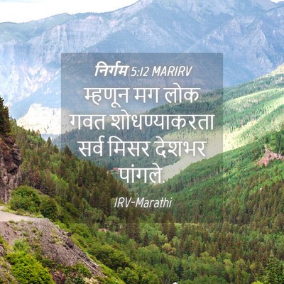 Picture 04 - निर्गम 5:12 MARIRV - म्हणून मग लोक गवत - Bible Verse Picture