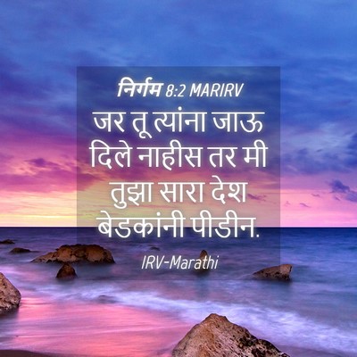 Picture 04 - निर्गम 8:2 MARIRV - जर तू त्यांना जाऊ - Bible Verse Picture