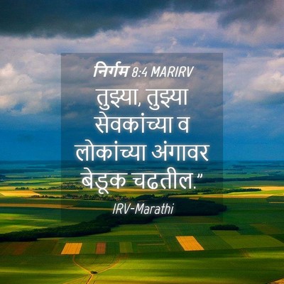 Picture 04 - निर्गम 8:4 MARIRV - तुझ्या, तुझ्या - Bible Verse Picture