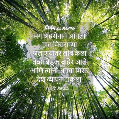 Picture 04 - निर्गम 8:6 MARIRV - मग अहरोनाने आपला - Bible Verse Picture