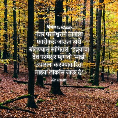 Picture 04 - निर्गम 9:1 MARIRV - नंतर परमेश्वराने - Bible Verse Picture
