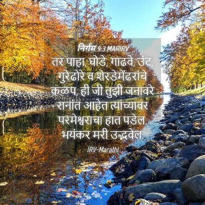 Picture 04 - निर्गम 9:3 MARIRV - तर पाहा, घोडे, - Bible Verse Picture