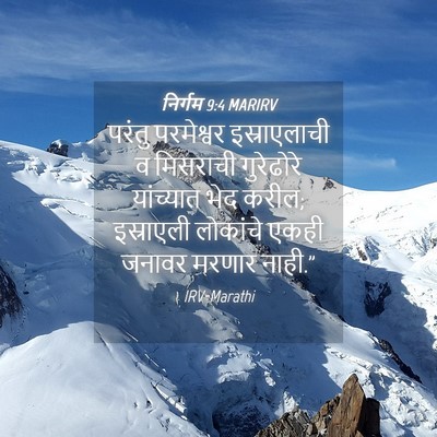 Picture 04 - निर्गम 9:4 MARIRV - परंतु परमेश्वर - Bible Verse Picture