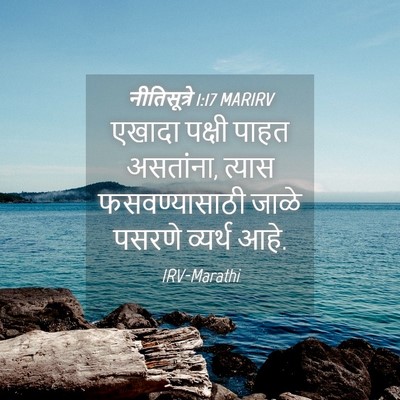 Picture 04 - नीतिसूत्रे 1:17 MARIRV - एखादा पक्षी पाहत - Bible Verse Picture