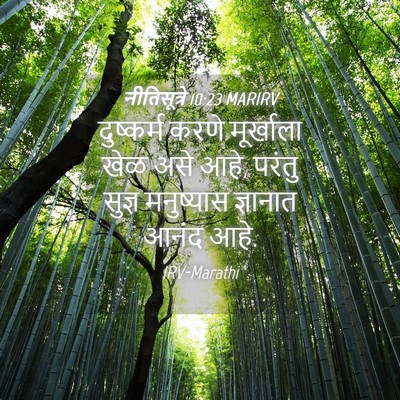 Picture 04 - नीतिसूत्रे 10:23 MARIRV - दुष्कर्म करणे - Bible Verse Picture
