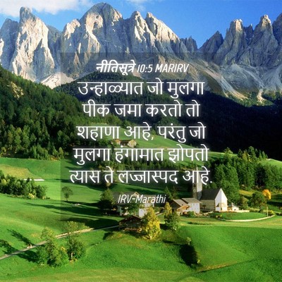 Picture 04 - नीतिसूत्रे 10:5 MARIRV - उन्हाळ्यात जो - Bible Verse Picture