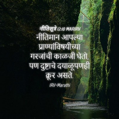 Picture 04 - नीतिसूत्रे 12:10 MARIRV - नीतिमान आपल्या - Bible Verse Picture