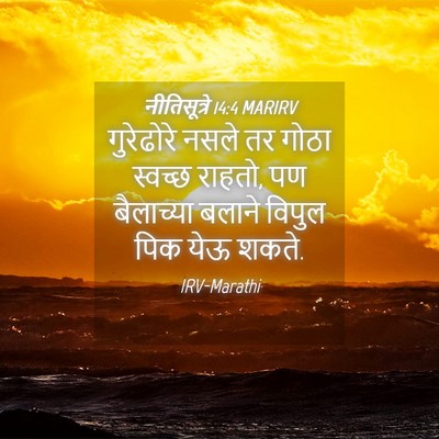 Picture 04 - नीतिसूत्रे 14:4 MARIRV - गुरेढोरे नसले तर - Bible Verse Picture