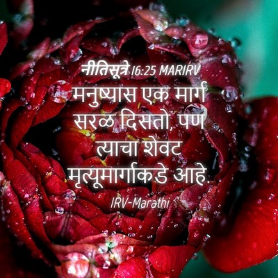 Picture 04 - नीतिसूत्रे 16:25 MARIRV - मनुष्यास एक मार्ग - Bible Verse Picture