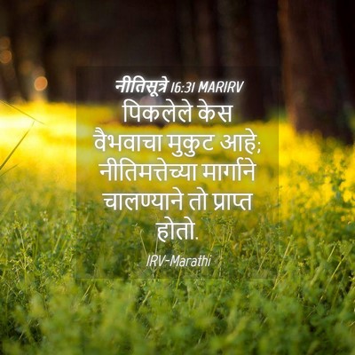 Picture 04 - नीतिसूत्रे 16:31 MARIRV - पिकलेले केस - Bible Verse Picture