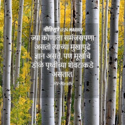 Picture 04 - नीतिसूत्रे 17:24 MARIRV - ज्या कोणाला - Bible Verse Picture