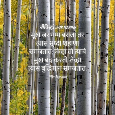 Picture 04 - नीतिसूत्रे 17:28 MARIRV - मूर्ख जर गप्प बसला - Bible Verse Picture