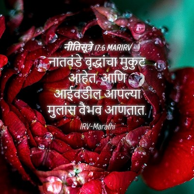 Picture 04 - नीतिसूत्रे 17:6 MARIRV - नातवंडे वृद्धांचा - Bible Verse Picture