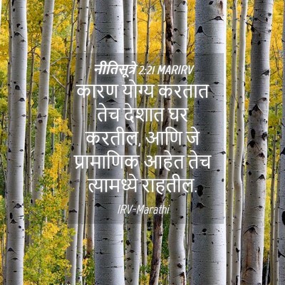 Picture 04 - नीतिसूत्रे 2:21 MARIRV - कारण योग्य करतात - Bible Verse Picture