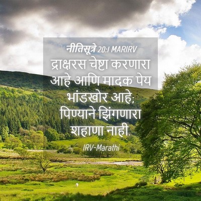 Picture 04 - नीतिसूत्रे 20:1 MARIRV - द्राक्षरस चेष्टा - Bible Verse Picture