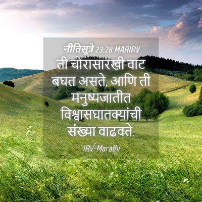 Picture 04 - नीतिसूत्रे 23:28 MARIRV - ती चोरासारखी वाट - Bible Verse Picture