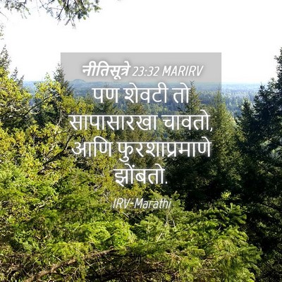 Picture 04 - नीतिसूत्रे 23:32 MARIRV - पण शेवटी तो - Bible Verse Picture