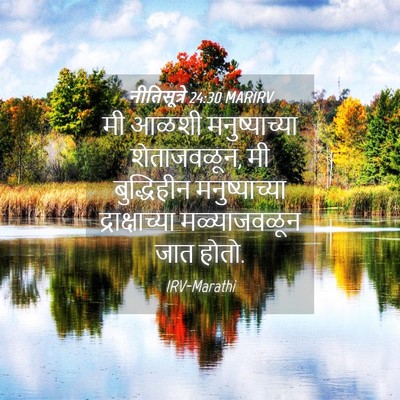 Picture 04 - नीतिसूत्रे 24:30 MARIRV - मी आळशी - Bible Verse Picture