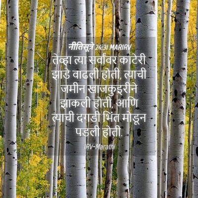 Picture 04 - नीतिसूत्रे 24:31 MARIRV - तेव्हा त्या - Bible Verse Picture