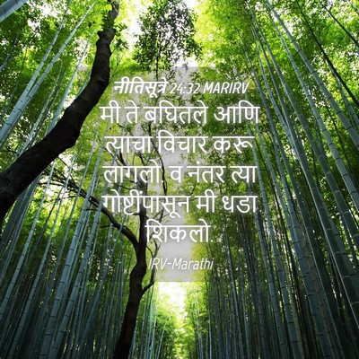 Picture 04 - नीतिसूत्रे 24:32 MARIRV - मी ते बघितले आणि - Bible Verse Picture