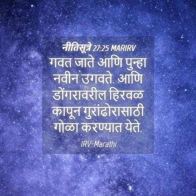 Picture 04 - नीतिसूत्रे 27:25 MARIRV - गवत जाते आणि - Bible Verse Picture