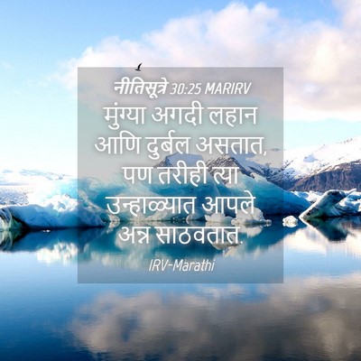 Picture 04 - नीतिसूत्रे 30:25 MARIRV - मुंग्या अगदी लहान - Bible Verse Picture