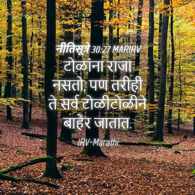 Picture 04 - नीतिसूत्रे 30:27 MARIRV - टोळांना राजा नसतो, - Bible Verse Picture