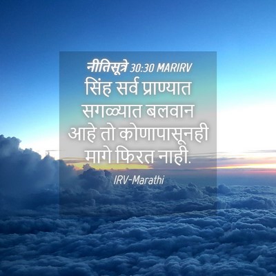 Picture 04 - नीतिसूत्रे 30:30 MARIRV - सिंह सर्व - Bible Verse Picture