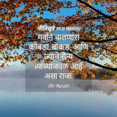 Picture 04 - नीतिसूत्रे 30:31 MARIRV - गर्वाने चालणारा - Bible Verse Picture