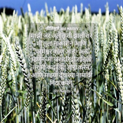 Picture 04 - नीतिसूत्रे 30:9 MARIRV - माझी जर अतीतृप्ती - Bible Verse Picture