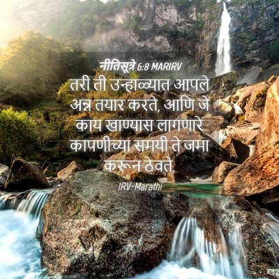 Picture 04 - नीतिसूत्रे 6:8 MARIRV - तरी ती उन्हाळ्यात - Bible Verse Picture