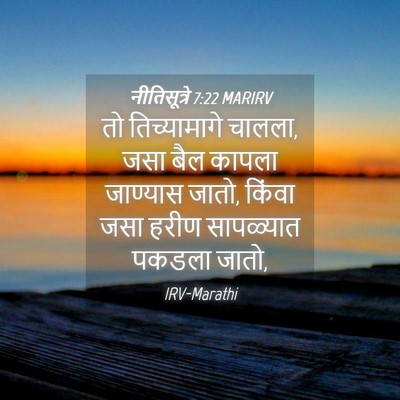 Picture 04 - नीतिसूत्रे 7:22 MARIRV - तो तिच्यामागे - Bible Verse Picture