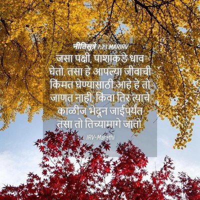 Picture 04 - नीतिसूत्रे 7:23 MARIRV - जसा पक्षी, पाशाकडे - Bible Verse Picture