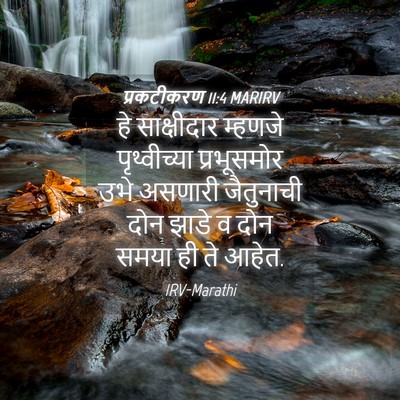 Picture 04 - प्रकटीकरण 11:4 MARIRV - हे साक्षीदार - Bible Verse Picture