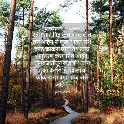 Picture 04 - प्रकटीकरण 14:4 MARIRV - स्त्रीसंगाने - Bible Verse Picture