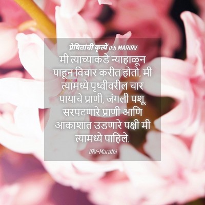 Picture 04 - प्रेषितांचीं कृत्यें 11:6 MARIRV - मी त्याच्याकडे - Bible Verse Picture