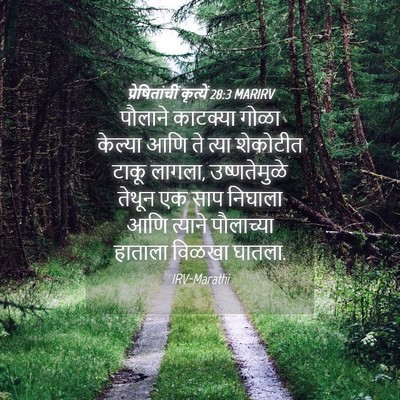 Picture 04 - प्रेषितांचीं कृत्यें 28:3 MARIRV - पौलाने काटक्या - Bible Verse Picture
