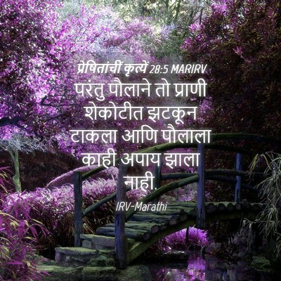 Picture 04 - प्रेषितांचीं कृत्यें 28:5 MARIRV - परंतु पौलाने तो - Bible Verse Picture