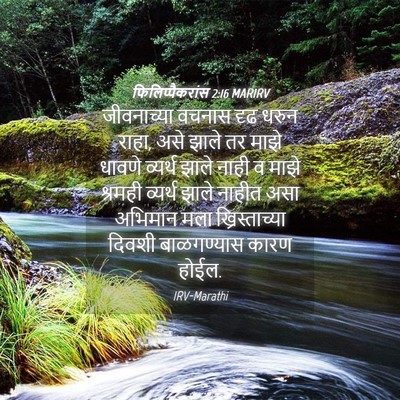 Picture 04 - फिलिप्पैकरांस 2:16 MARIRV - जीवनाच्या वचनास - Bible Verse Picture