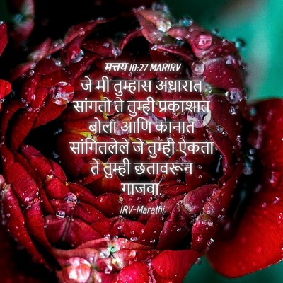 Picture 04 - मत्तय 10:27 MARIRV - जे मी तुम्हास - Bible Verse Picture