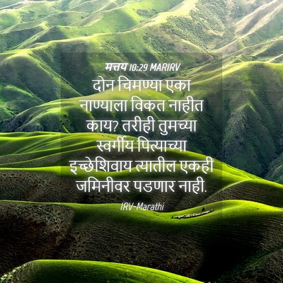 Picture 04 - मत्तय 10:29 MARIRV - दोन चिमण्या एका - Bible Verse Picture
