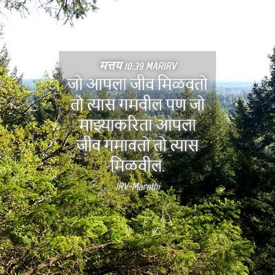 Picture 04 - मत्तय 10:39 MARIRV - जो आपला जीव मिळवतो - Bible Verse Picture