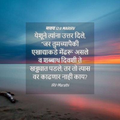 Picture 04 - मत्तय 12:11 MARIRV - येशूने त्यांना - Bible Verse Picture